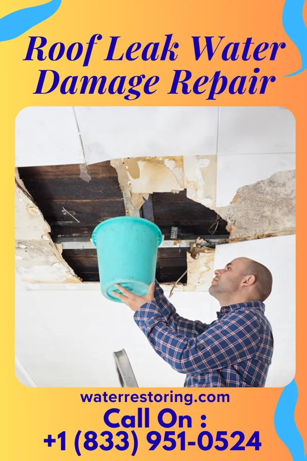 Roof Leak Water Damage Repair in Mount Hope, WV