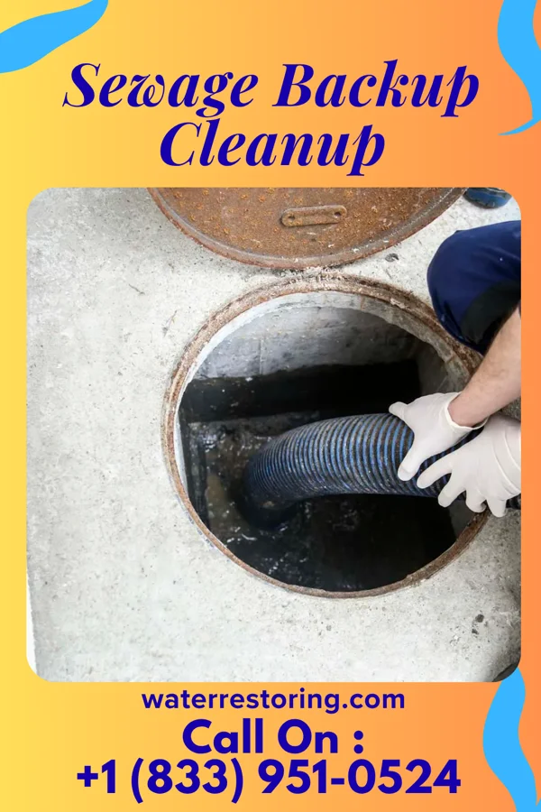 Sewage Backup Cleanup in Mount Hope, WV