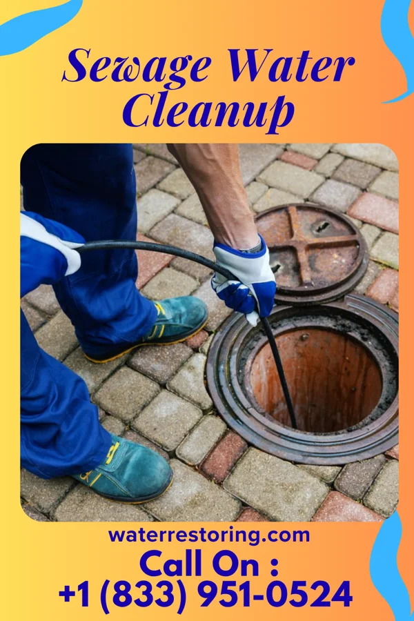 Sewage Water Cleanup in Mount Hope, WV